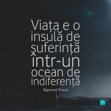 Viata e o insula de suferinta intr-un ocean de indiferenta