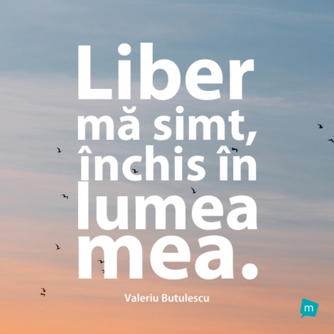 Liber ma simt, inchis in lumea mea.