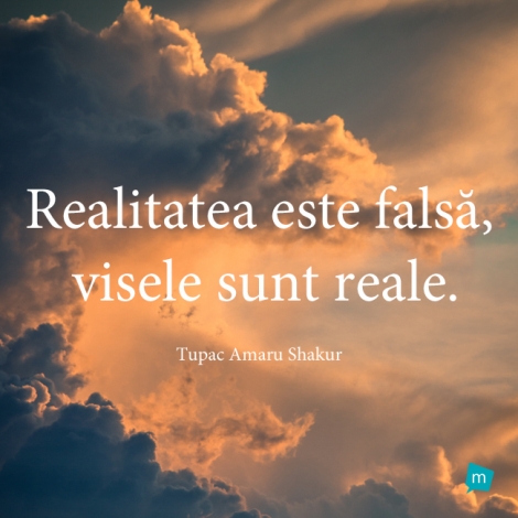 Realitatea este falsa, visele sunt reale.